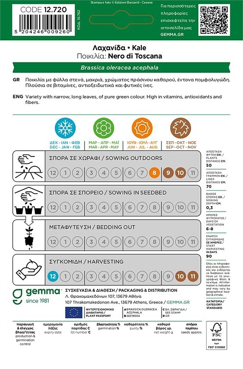 Καλλιέργεια Λαχανίδας Nero di Toscana σε λαχανόκηπο