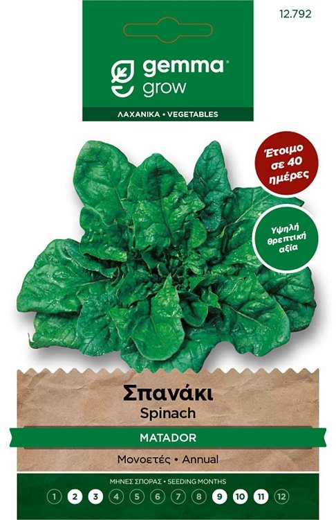 Σπόροι σπανακιού Matador Gemma – σκούρα γερά φύλλα έτοιμα σε 40 ημέρες