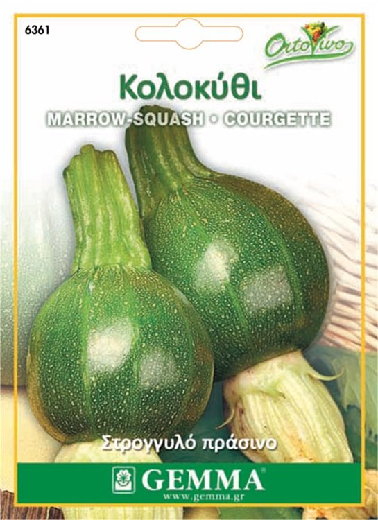Σπόροι κολοκυθιού στρογγυλό σκούρο Gemma Tondo Piacenza