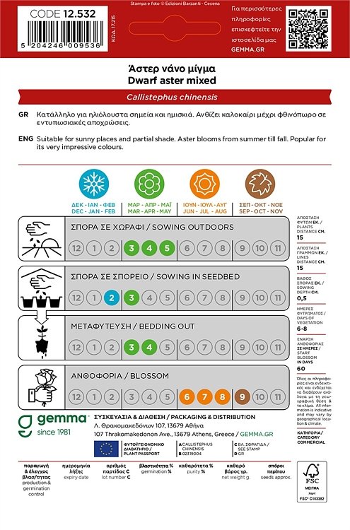 Άστερ Μπορντούρα Gemma – Καλλιέργεια νάνου άστερ για μπορντούρα