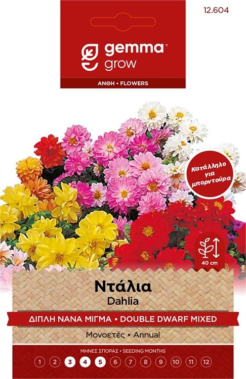 Ντάλια Διπλή Μίγμα Gemma – εικόνα προϊόντος σπόρων