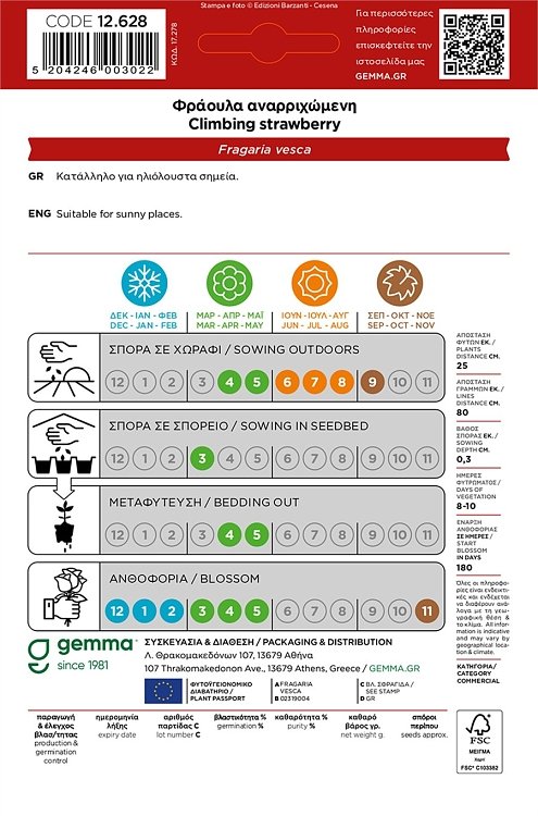 Φράουλα Αναρριχώμενη Gemma – κοντινό πλάνο συσκευασίας φάκελου