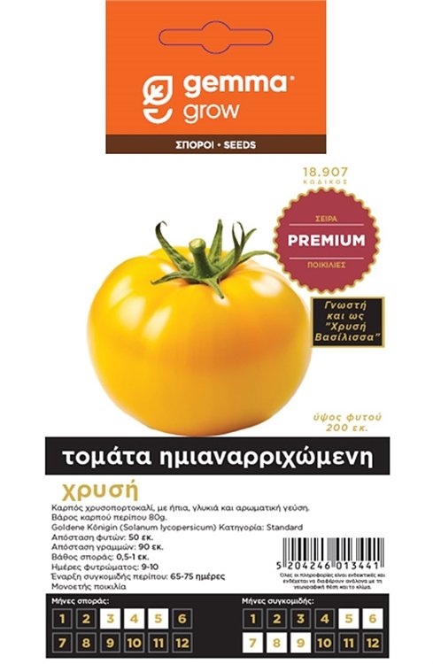 Τομάτα Goldene Konigin Gemma – χρυσή ημιαναρριχώμενη ποικιλία Premium