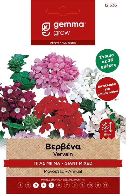 Βερβένα Γίγας Μίγμα Σπόροι Gemma – Πολύχρωμη ανθοφορία για γλάστρες