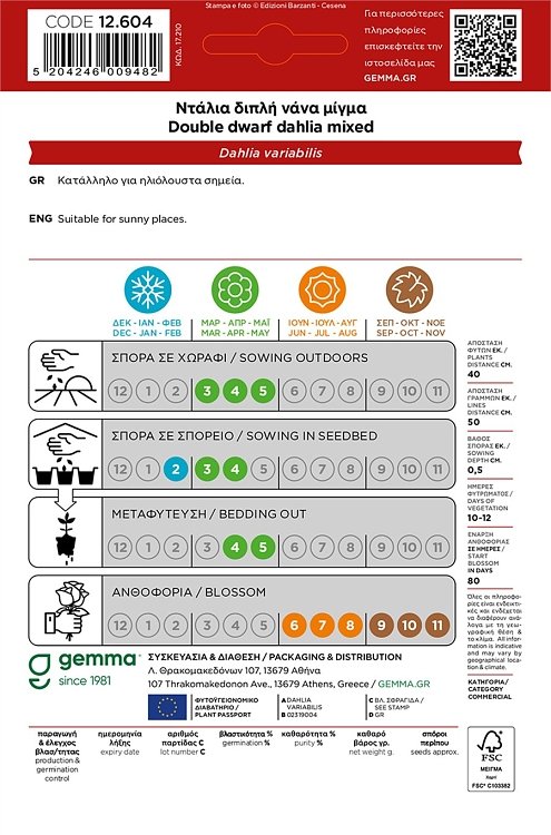 Ντάλια Διπλή Μίγμα Gemma – συσκευασία φάκελος κοντινό πλάνο