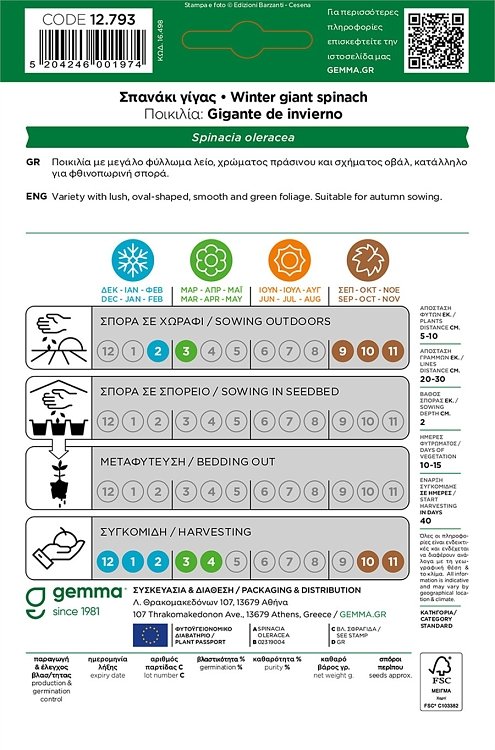 Σπανάκι Gigante de Invierno Gemma – έτοιμο σε 40 ημέρες