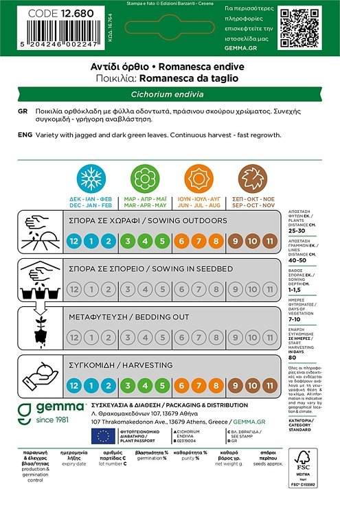 Σπόροι Αντίδι Κατσαρό Όρθιο Romanesca φάκελος σκούρα πράσινα φύλλα