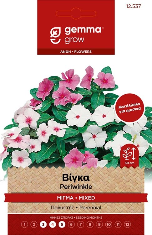 Βίγκα Μίγμα Σπόροι Gemma – Πολυετές καλλωπιστικό φυτό για ημισκιά