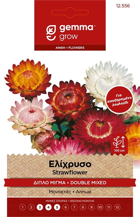 Ελίχρυσο Μίγμα Gemma – Σπόροι για αποξηραμένα λουλούδια