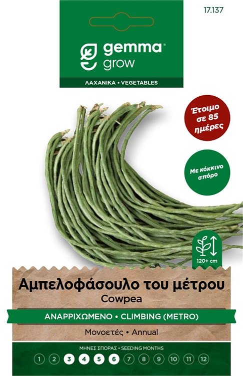 Αμπελοφάσουλο του Μέτρου Gemma – αναρριχώμενο cowpea Premium