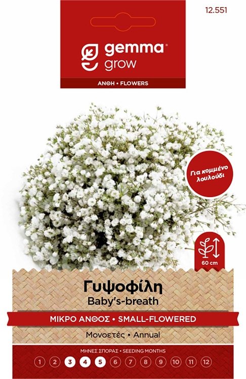 Γυψοφίλη Μικρό Άνθος Σπόροι Gemma – Μονοετές φυτό για ανθοδέσμες