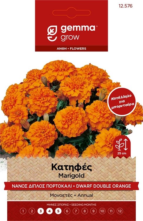 Κατηφές Νάνος Διπλός Πορτοκαλί Gemma – εικόνα προϊόντος σπόρων