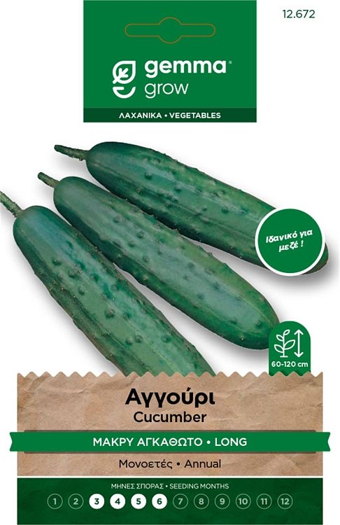 Αγγούρι Μακρύ Αγκαθωτό Gemma – Φάκελος Σπόρων Λαχανικών για Άνοιξη και Καλοκαίρι