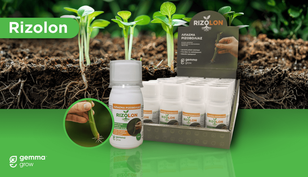 Rizolon Gemma 50ml – εφαρμογή σε καλλιέργεια με ποτιστήρι