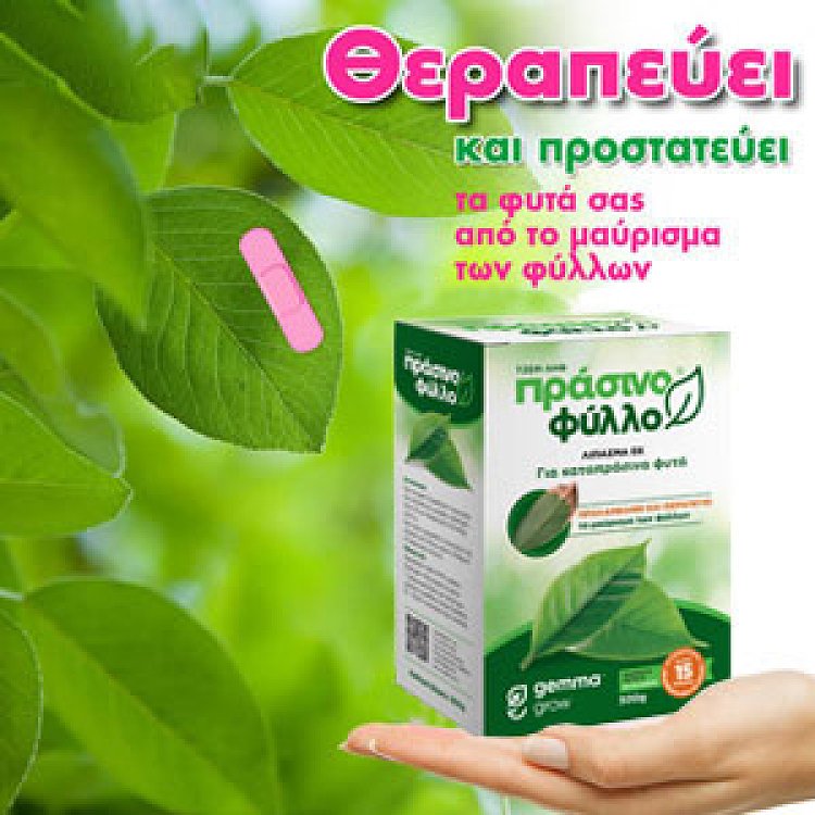 Πράσινο Φύλλο 500g – Λίπασμα μαγνησίου για φυτά, πρόληψη κιτρινίσματος και μαυρίσματος φύλλων