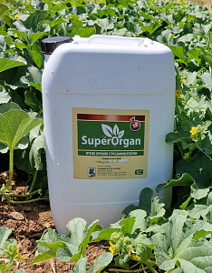 SuperOrgan Plant οργανικό υγρό εδαφοβελτιωτικό για όλες τις καλλιέργειες