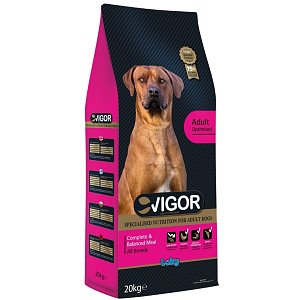 Vigor Maintenance Adult Dog 20kg – Πλήρης High Nutrition Formula για Ενήλικους Σκύλους με 22% Πρωτεΐνη & 8% Λιπαρά