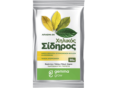 Χηλικός Σίδηρος Σκόνη 50g – Άμεση Θεραπεία Χλωρώσεων