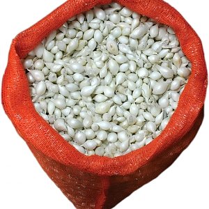 Κοκκάρι Λευκό Snowball 14/21 Ψιλό – 500 g ή 1 kg