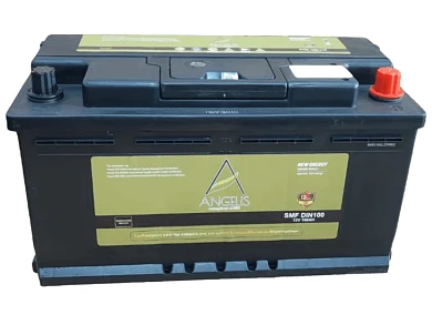 Μπαταρία Ελαιοραβδιστικού Angelis 100Ah Κλειστού Τύπου