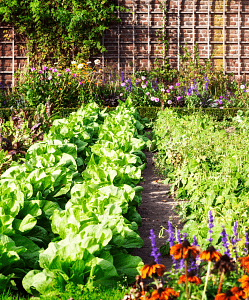 Εποχιακές Εργασίες στον Κήπο – Τι να Κάνετε Κάθε Μήνα