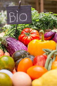 Βιολογική Καλλιέργεια – Οδηγός για Αρχάριους