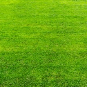 Γκαζόν Ορεινών Περιοχών – Μίγμα Αντοχής