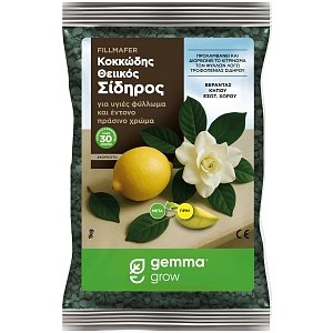 Gemma Fillmafer Κοκκώδης Θειικός Σίδηρος 1kg / 5kg για Κιτρίνισμα
