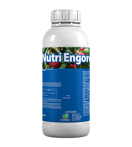 Nutri Engorde – Υγρό Λίπασμα Διόγκωσης Καρπών Υψηλής Τεχνολογίας 1L