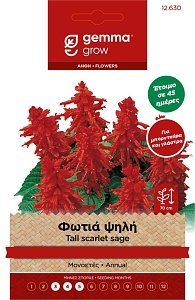 Gemma Φωτιά Ψηλή – Σπόροι Salvia splendens για Μπορντούρα & Γλάστρα