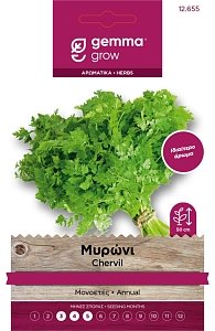 Gemma Μυρώνι Σπόροι – Μονοετές Αρωματικό για Σαλάτες & Μαγειρική