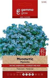Gemma Myosotis Μη Με Λησμόνει – Σπόροι πολυετούς για γλάστρα & κήπο