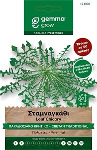 Σταμναγκάθι Κρητικό Σπόροι Gemma – Πολυετές Παραδοσιακό