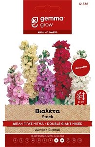 Βιολέτα Διπλή Γίγας Μίγμα Σπόροι Gemma – Εντυπωσιακή Ανθοφορία Άνοιξης 🌸