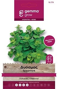 Δυόσμος Σπόροι Gemma – Πολυετές Αρωματικό για Mojito & Μαγειρική