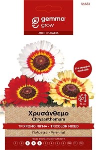 Gemma Χρυσάνθεμο Πολύχρωμο – Σπόροι Πολυετούς για Κομμένο Λουλούδι