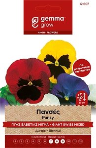 Πανσές Γίγας Ελβετίας Gemma – Μίγμα Σπόρων για Μπορντούρα Φάκελος