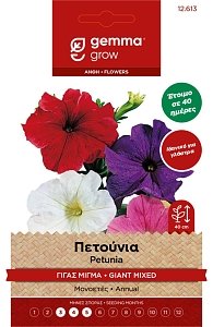 Πετούνια Γίγας Μίγμα Gemma – Σπόροι Γρήγορης Ανθοφορίας Φάκελος