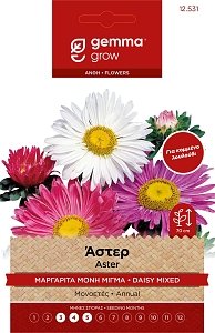 Άστερ Μαργαρίτα Μίγμα Σπόροι Gemma – Εντυπωσιακό Μονοετές για Κήπο & Μπουκέτα 🌸