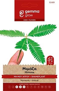 Μιμόζα Μη Μου Άπτου Gemma – Σπόροι Διακοσμητικού Φάκελος