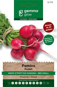 Ραπάνι Μικρό Στρογγυλό Κόκκινο Gemma – Πρώιμη Ποικιλία Saxa 2