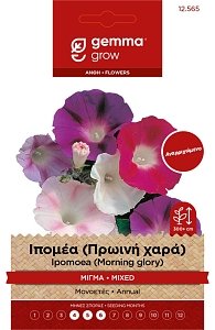 Ιπομέα (Πρωινή Χαρά) Μίγμα Gemma – Αναρριχώμενο Καλλωπιστικό