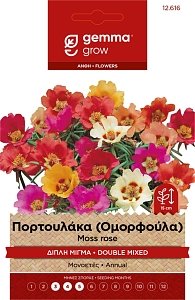 Πορτουλάκα Διπλή Μίγμα Gemma – Σπόροι Ανθεκτικού Καλοκαιρινού Φυτού