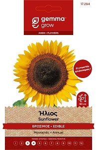 Ήλιος Βρώσιμος Σπόροι Gemma – Ο γνωστός ηλιόσπορος 🌻