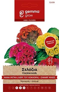 Σελόσια Νάνα Διπλή Μίγμα Gemma – Σπόροι Γλάστρας Φάκελος