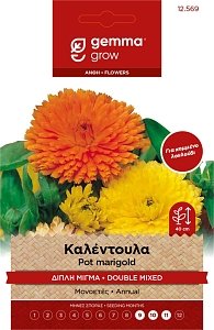 Καλέντουλα Γίγας Διπλή Μίγμα Gemma – Σπόροι Καλλωπιστικού