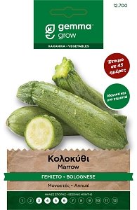 Κολοκύθι Γεμιστό Gemma – Πρώιμο Bolognese 45ημ