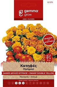 HORTUS Κατηφές Διπλός Κίτρινος – Σπόροι Μπορντούρας Φάκελος