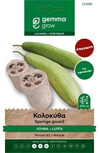 Σπόροι Κολοκύθας Λούφας (Luffa) για Σφουγγάρι Gemma