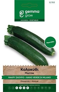 Κολοκύθι Μακρύ Σκούρο Gemma – Nano Verde 55 ημ.